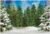 Funnytree 7x5FT Winter Forest Landscape Photography Backdrop Snowy Christmas Pine Tree Background Natural Scene Xmas Party Wall Decoration Supplies Photo Booth